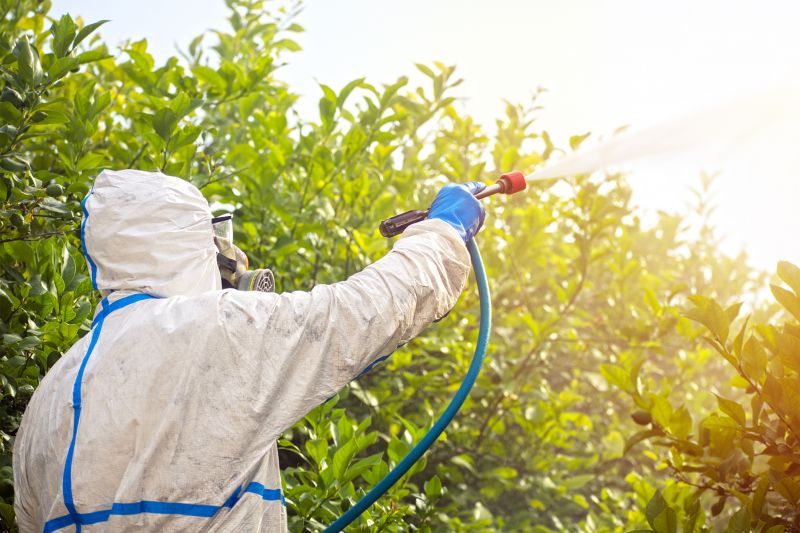 Fumigation And Pest Control