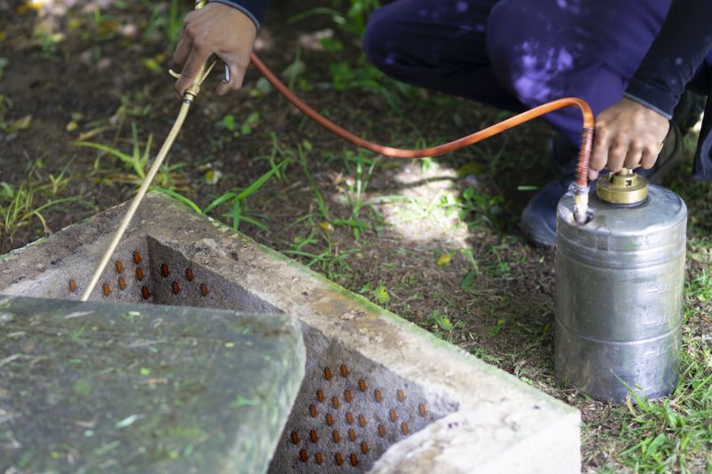 Fumigation And Pest Control