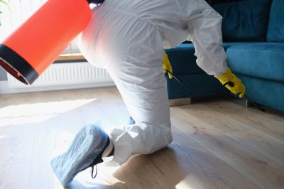 Fumigation And Pest Control