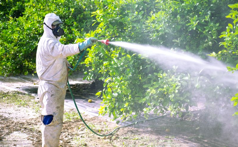 Fumigation And Pest Control