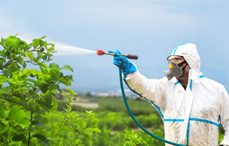 Fumigation And Pest Control