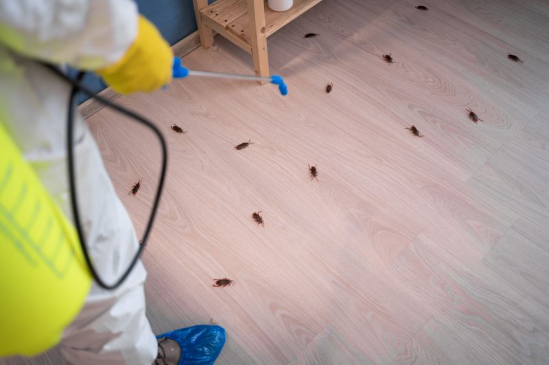 Roach Infestation
