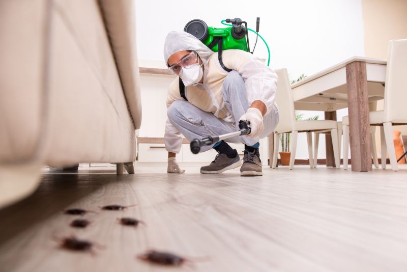 Exterior Treatments