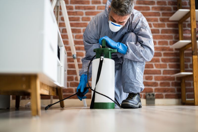 Signs Your Property Needs Professional Fumigation Services
