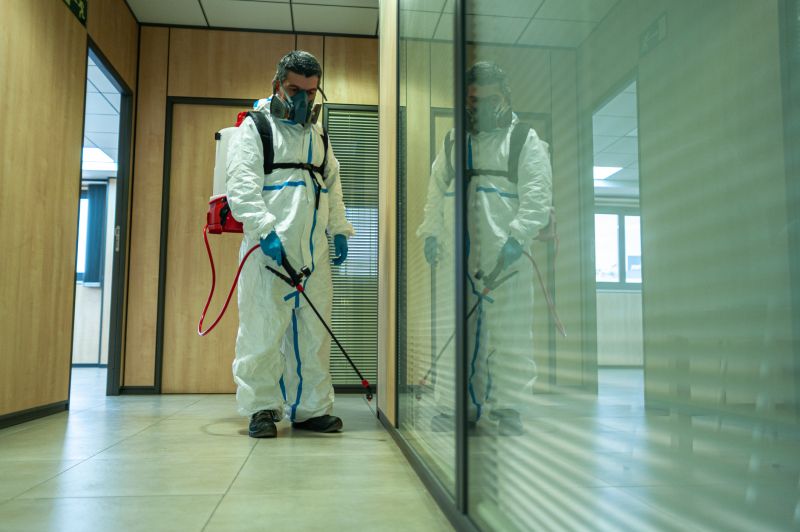 Spider Fumigation Service in Wilmington, DE