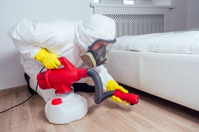 The Most Common Pests That Require Fumigation