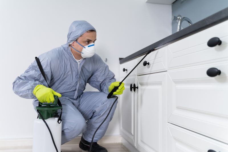 Why Professional Bed Bug Pest Control Is More Effective Than Diy Treatments
