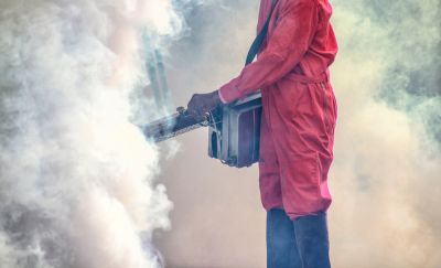 Snake Control - Fumigation And Pest Control Exton, Pennsylvania