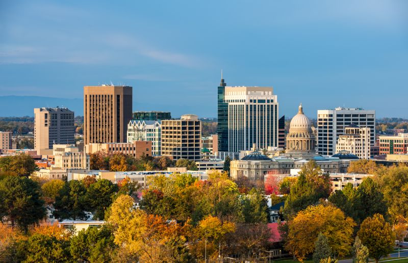 Fumigation And Pest Control in Boise, ID