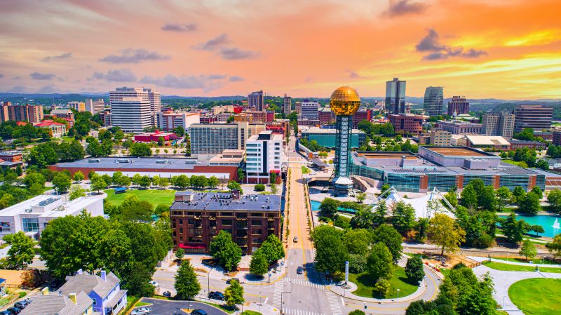 Fumigation And Pest Control in Knoxville, TN