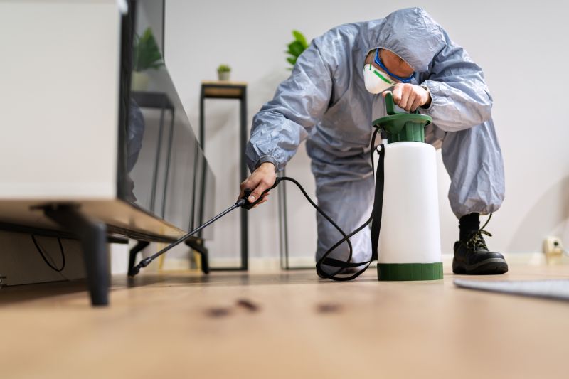 Fumigation Service Providers and Pest Control Experts